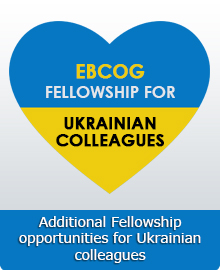 Additional Fellowship opportunities for Ukrainian colleagues